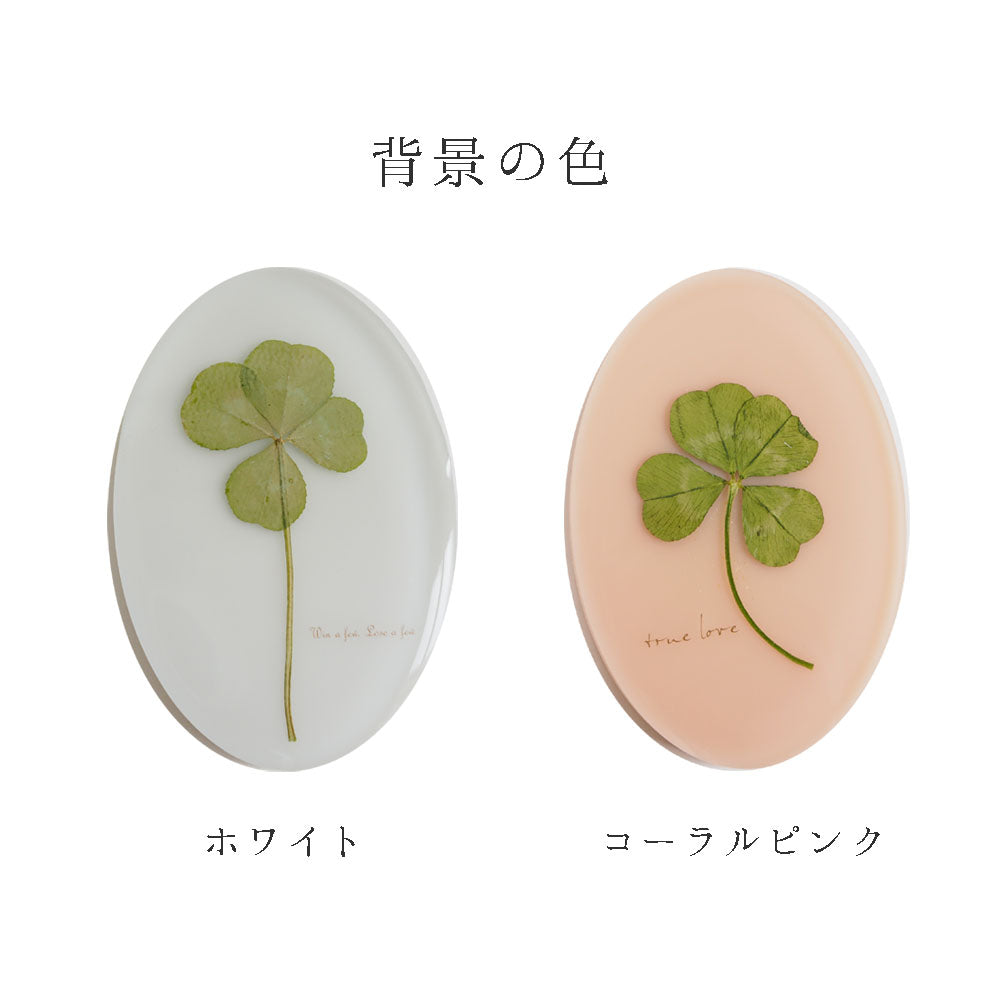4つ葉のクローバーのレジンプレート
