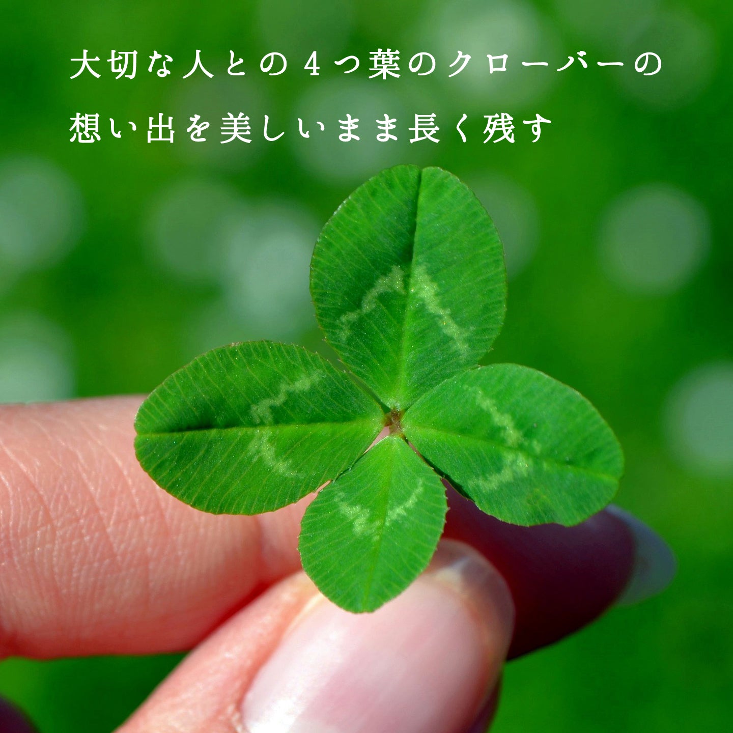 4つ葉のクローバーのレジンバッグチャーム